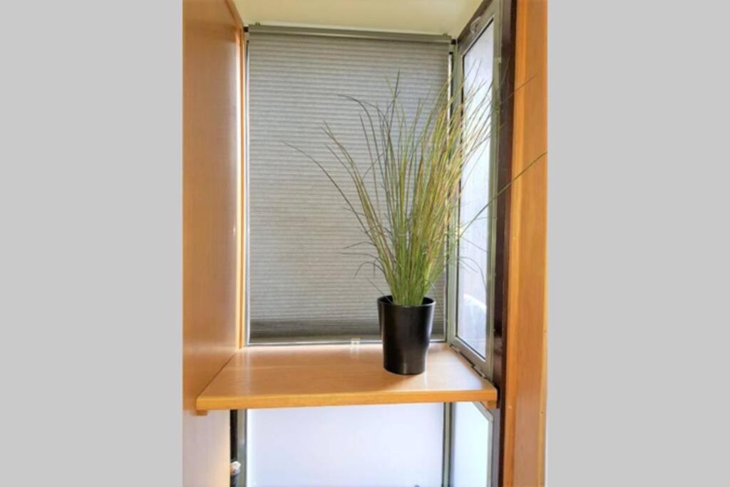 的里雅斯特Boat House公寓 外观 照片